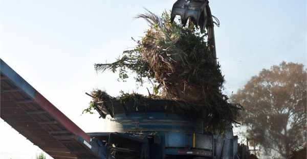 Truck lifting debris