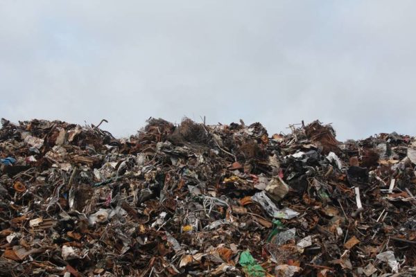 landfill article