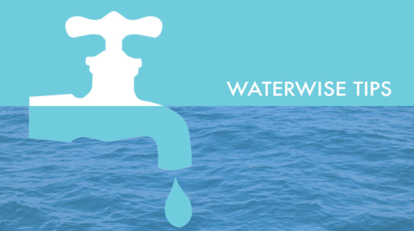 waterwise-tips1000x556