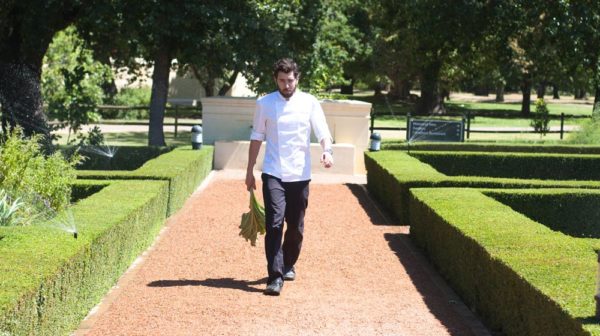 Chef Michael Cook Walking Towards Camera In This Shot.