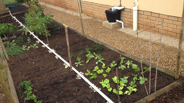 Garden containing a Grey Water System from Waterwise