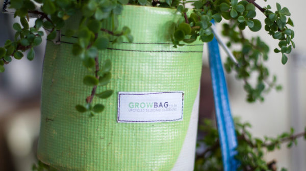 Billboard Vinyl Grow Bag (Recycled Vinyl Plant Holder)