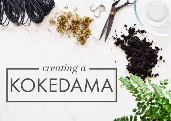 ingredients for creating a Kokedama