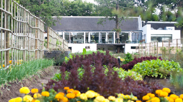 Garden in Bloom With Farm House in Background